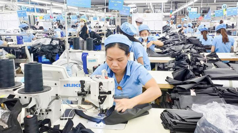 Garmex Sài Gòn (GMC) báo lỗ 9 tháng hơn 44 tỷ đồng, cắt giảm nhân sự còn 37 người