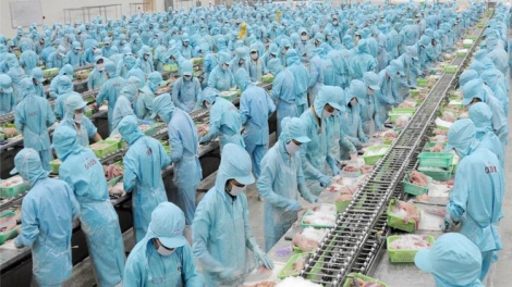 IDI báo lãi 9 tháng lao dốc hơn 87%, nợ vay gần 4.400 tỷ đồng