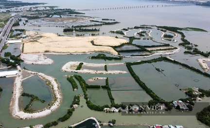 Thị Nại Eco Bay và nhiều ông lớn… nợ thuế 'khủng' tại Bình Định