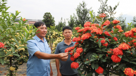 NTM Hà Giang: Phát triển toàn diện, Mỹ Tân hướng tới thôn NTM kiểu mẫu