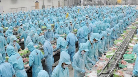 IDI chốt danh sách tham dự ĐHĐCĐ thường niên 2023