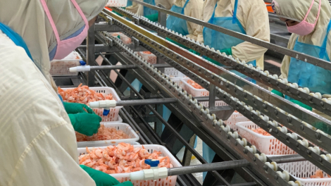 Stapimex lên mục tiêu doanh thu xuất khẩu 340 triệu USD, cổ tức 100%