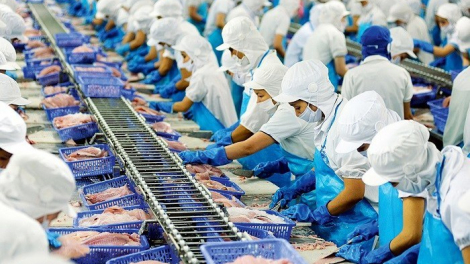 'Vua cá tra' một thời Agifish (AGF) lên kế hoạch lãi 5 tỷ đồng trong năm 2023