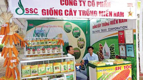 Nguyên nhân khiến Giống cây trồng miền Nam (SSC) báo lãi quý I/2023 giảm sâu?