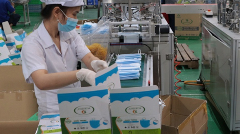 Bông Bạch Tuyết (BBT) bị phạt và truy thu thuế hơn 5 tỷ đồng