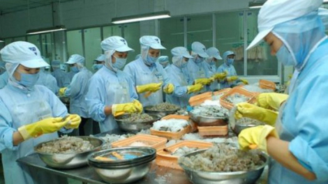 Thủy sản Thuận Phước (THP): Mục tiêu xuất khẩu thủy sản đạt 130 triệu USD, giá cổ phiếu vừa về 'mệnh'