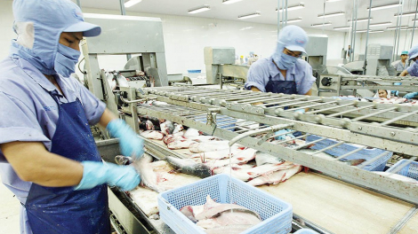 Caseamex (CCA) lên mục tiêu lãi giảm 47% xuống 30 tỷ đồng trong năm 2023