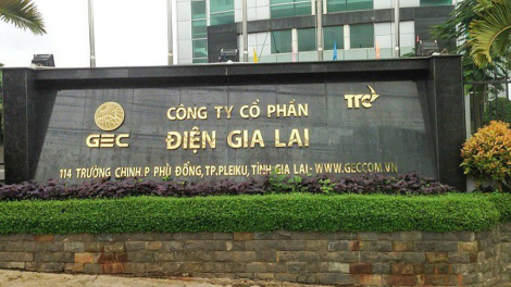 Điện Gia Lai (GEG) sắp trả cổ tức năm 2022 bằng cổ phiếu, tăng vốn lên hơn 4.000 tỷ đồng