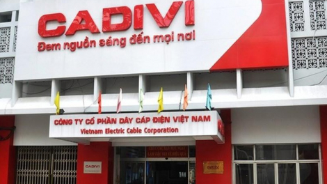 Cadivi (CAV) chốt phương án chia cổ tức bằng tiền tỷ lệ 100%