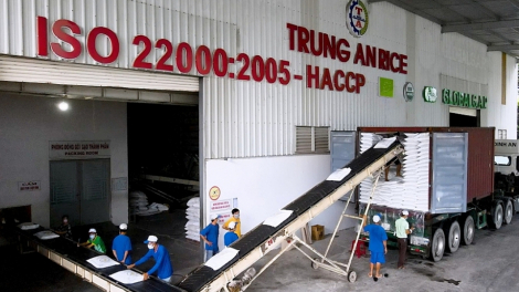 
Trung An Rice (TAR) 'lấn sân' sang điện rác, DN Nhật Bản muốn hợp tác làm thành phẩm sau gạo