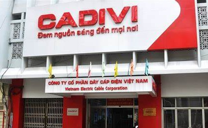 Dây Cáp điện Việt Nam (CAV): Lên kế hoạch lợi nhuận trước thuế đạt 450 tỷ, dự chia cổ tức tỷ lệ 100% 