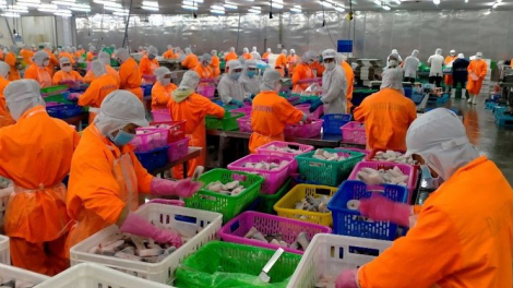 Vì đâu lợi nhuận Nam Việt (ANV) lỗ tới 51 tỷ đồng trong quý II/2023?