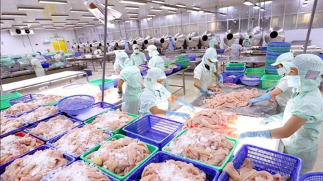 Thủy sản Cửu Long An Giang (ACL) làm ăn sa sút, lãi hơn 6 tỷ trong nửa năm, đường về đích còn xa