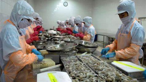 Ngược xu hướng lợi nhuận giảm, Thủy sản Thuận Phước (THP) báo lãi 6 tháng tăng 45% 