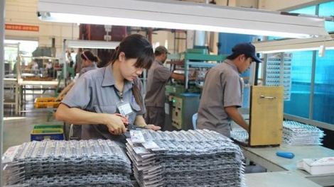 Cao su Thống Nhất (TNC): Lãi lớn trong quý IV/2023, Tổng giám đốc có thu nhập cao nhất Công ty