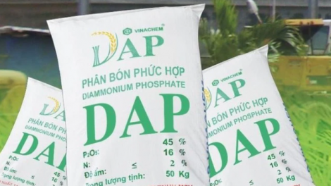 Vì sao lãi sau thuế của 'ông lớn' DAP - Vinachem giảm tới 80%?