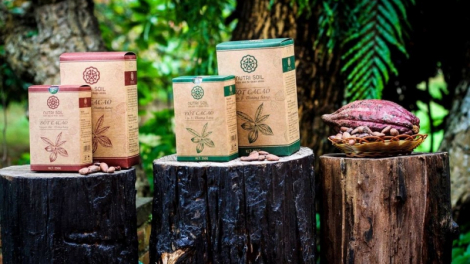 [Biz Insider] Nutri Soil - Từ trái ca cao đến đưa mắc ca ra thế giới