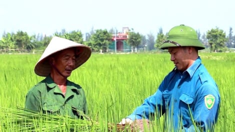 Tọa đàm thuế GTGT với mặt hàng phân bón: Người nông dân được hưởng lợi khi giá thành vật tư giảm?