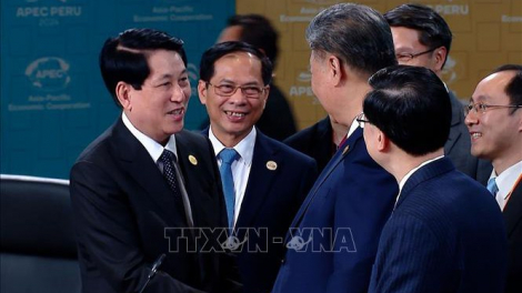 APEC 31: Chủ tịch nước Lương Cường gặp Chủ tịch Tập Cận Bình, Tổng thống Joe Biden