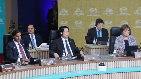 Chủ tịch nước Lương Cường dự và phát biểu tại Hội nghị cấp cao APEC 31