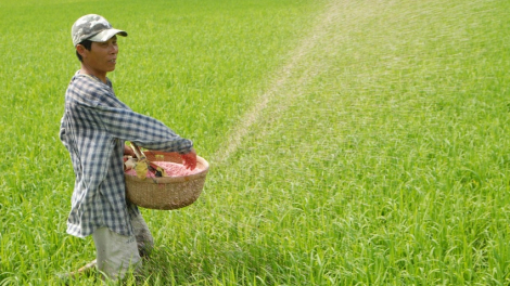 “Ba nhà” chịu thiệt như thế nào suốt 10 năm qua khi phân bón không chịu thuế GTGT?