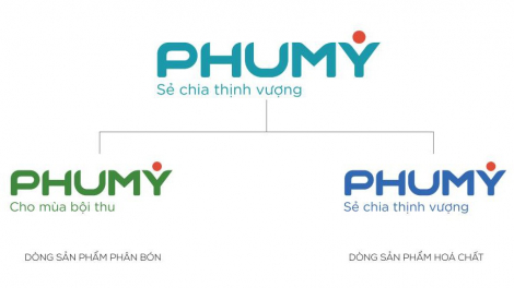 Ra mắt tên và bộ nhận diện thương hiệu mới PHUMY: Bước chuyển mình mạnh mẽ của PVFCCo
