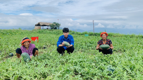 NTM Hà Giang: Đẩy nhanh tiến độ, quyết tâm hoàn thành mục tiêu năm 2024