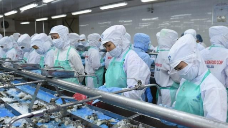 Doanh số tháng 11 của Sao Ta (FMC) đạt 18,38 triệu USD, tăng 5%