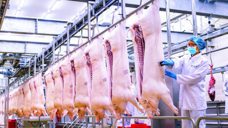 Masan MEATLife và hành trình định hình thị trường thịt mát