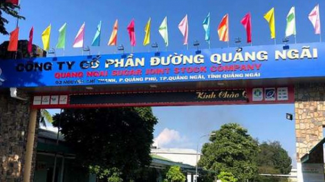 Tổng giám đốc QNS Võ Thành Đàng đăng ký mua thêm 1 triệu cổ phiếu