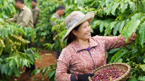 Bất ngờ với thứ hạng xuất khẩu cà phê chế biến, 'ông lớn' Nestlé chỉ về thứ 3