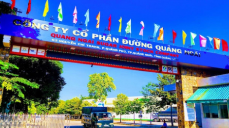 Đường Quảng Ngãi (QNS) sắp chi 714 tỷ đồng tạm ứng cổ tức đợt 3/2023