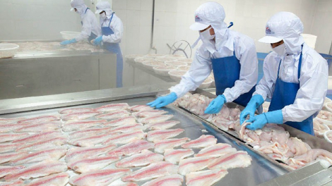 Thuỷ sản Mekong (AAM) lên kế hoạch lãi 1 tỷ đồng