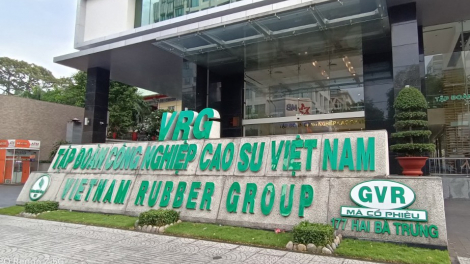 Cao su tăng giá, 'ông lớn' GVR phấn đấu doanh thu tỷ USD