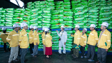 DCM đồng hành cùng nông dân trong chuỗi chương trình 'Tham quan nhà máy - Gặt hái mùa vàng' 