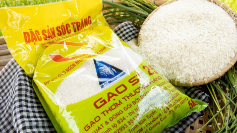Thông tin gạo ST24, ST25 được hưởng ưu đãi thuế quan khi xuất khẩu sang EU là không chính xác