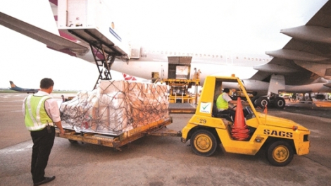 Phục vụ Mặt đất Sài Gòn (SGN) báo lãi quý I tăng 12%