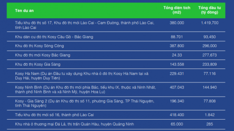 KQKD quý I/2024: Lợi nhuận 'mỏng như lá lúa', tồn kho hơn 2.500 tỷ đồng của Kosy có gì?