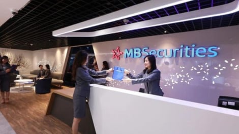 MBS dự kiến phát hành hơn 109 triệu cổ phiếu, giá bằng 1/3 thị trường