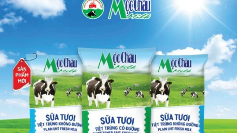 110 triệu cổ phiếu MCM của Mộc Châu Milk chuẩn bị chuyển nhà sang HoSE