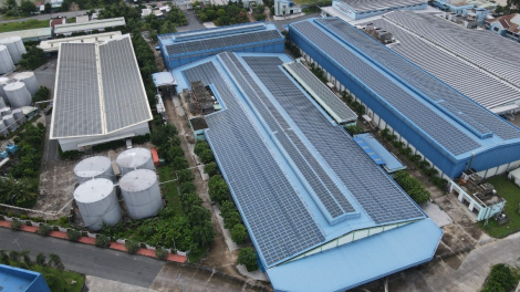 KQKD quý I/2024: Tập đoàn Sao Mai (ASM) báo lãi giảm 12%, dư nợ tài chính gần 10.700 tỷ đồng