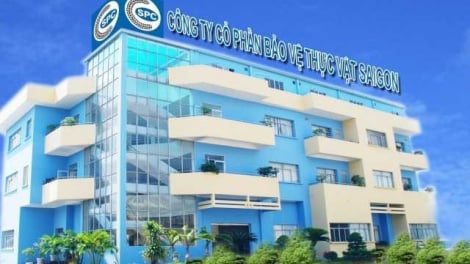 Cổ phiếu SPC vào diện cảnh báo, Bảo vệ Thực vật Sài Gòn có kế hoạch gì?