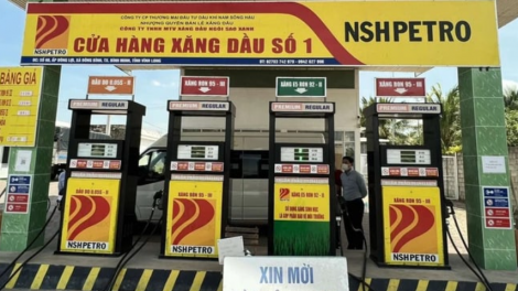 NSH Petro: Thao túng cổ phiếu, con của chủ tịch bị phạt tiền tỷ 