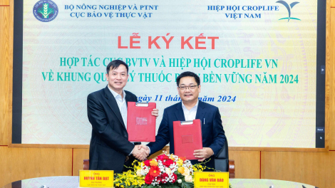 CropLife Quốc tế với chương trình thúc đẩy quản lý thuốc bảo vệ thực vật bền vững ở Kenya, Ma rốc, Thái Lan, Việt Nam