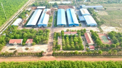 Đề nghị tránh nhầm lẫn Tập đoàn công nghiệp cao su Việt Nam với Casumina
