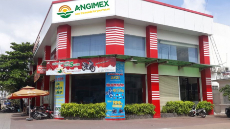 Angimex (AGM): Lỗ lũy kế gấp 24 lần vốn chủ, sắp bán loạt tài sản để trả nợ vay