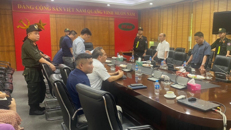 Những sai phạm khiến Tổng Giám đốc VEAM Phan Phạm Hà bị bắt là gì?