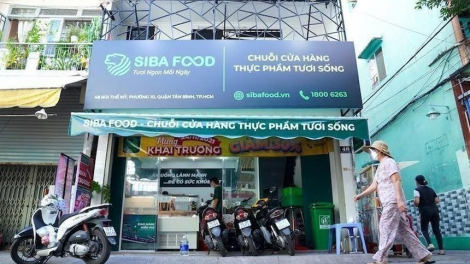 BaF Việt Nam phát hành hơn 7,1 triệu cổ phiếu ESOP với giá 10.000 đồng/cp