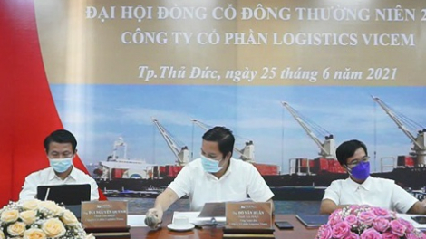 Logistics Vicem (HTV) nói gì khi lợi nhuận Quý II/2024 tăng 70%?