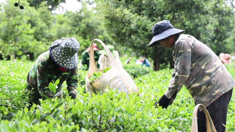 Nhiều hoạt động phối hợp giữa HND Sơn La và HND Hưng Yên